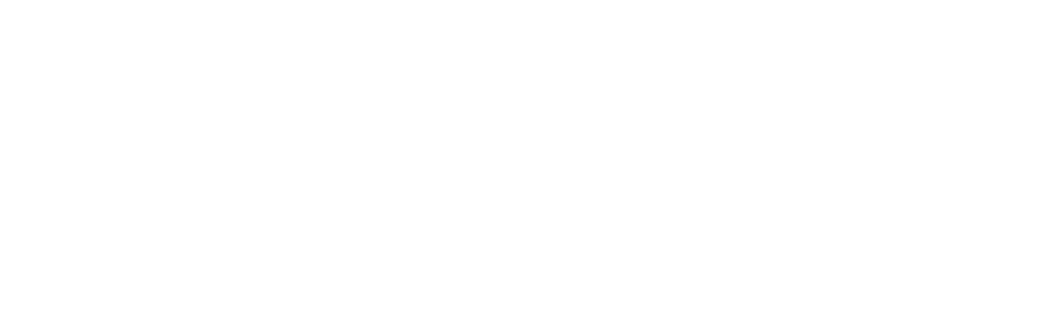 Integral Mission